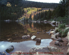 Click here to see a larger size.