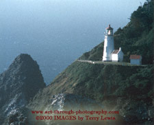 Click on picture to see a larger size