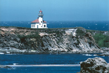 Click here to see a larger size.